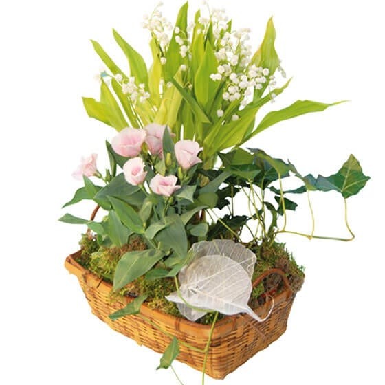 Image de Chanceux, composition de muguet  & plantes - Entrefleuristes