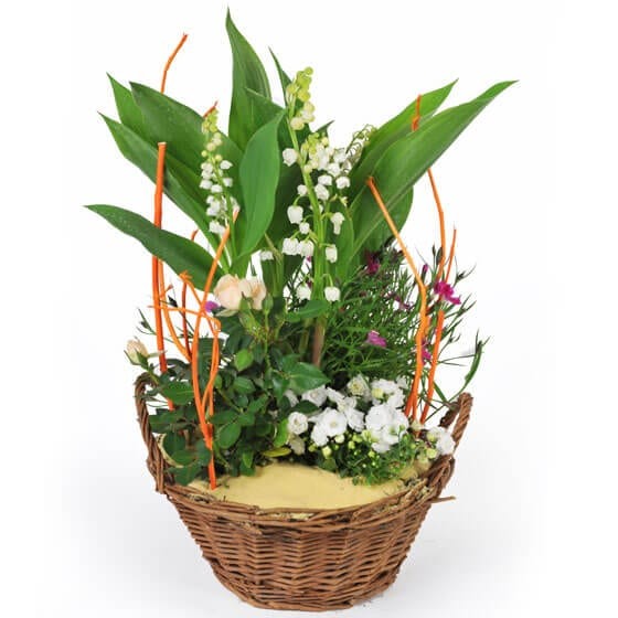 Image d' Aubaine, assemblage de muguet & plantes - Entrefleuristes