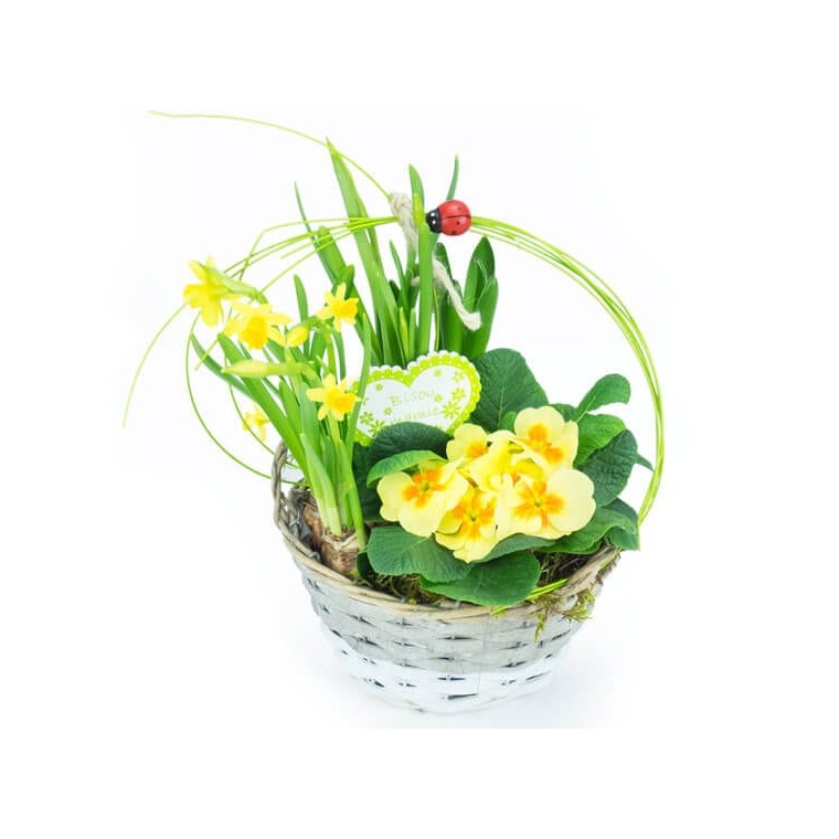 Image de Panier printanier | Entrefleuristes