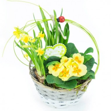  Image de Panier printanier | Entrefleuristes