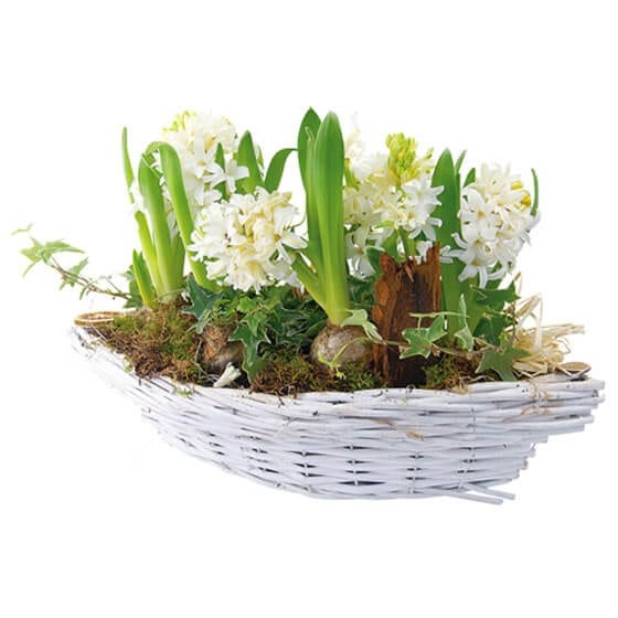 image de la coupe de Jacinthes blanches Noce blanche | Entrefleuristes image de la coupe de Jacinthes blanches Noce blanche | Entrefleuristes