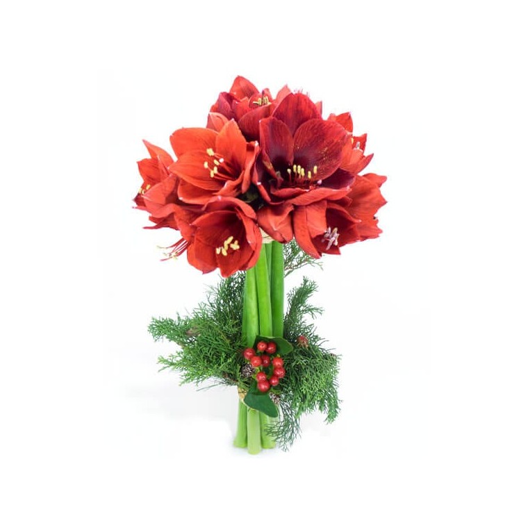 image du Bouquet d'Amaryllis L'enchanteur | Entrefleuristes