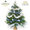 image du Sapin de Noël Décoré Bleu et Argent | Entrefleuristes