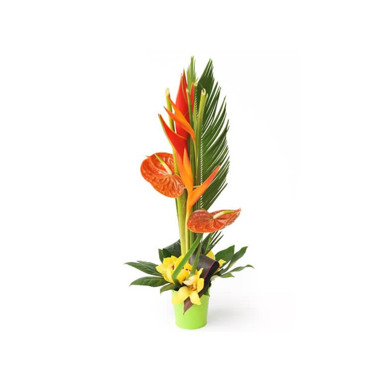 Papaye, Composition exotique - Livraison de fleurs à domicile en 4h -  EntreFleuristes