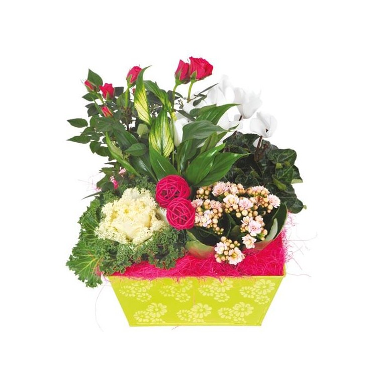 Souvenir, Composition florale - Livraison de fleurs à domicile en 4h -  EntreFleuristes