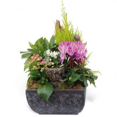 Image de Infini, coupe de plantes rose & blanche - Entrefleuristes