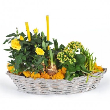  image de la composition de plante dans les tons jaunes Etamine la fleuriste | Entrefleuristes