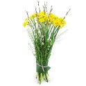 Solaire, bouquet avec des jonquilles