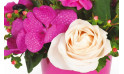 Zoom 1 image d' Impérial, composition de fleurs rose - Entrefleuristes