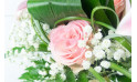  vue sur une magnifique rose rose et du gypsophile | Entrefleuristes