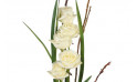 Zoom image de Colombe, bouquet de roses blanches- Entrefleuristes