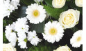 zoom sur les fleurs de la composition de fleurs | Entrefleuristes