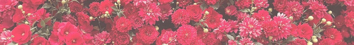 Bouquet de fleurs rouges | Livraison en 4h par un fleuriste