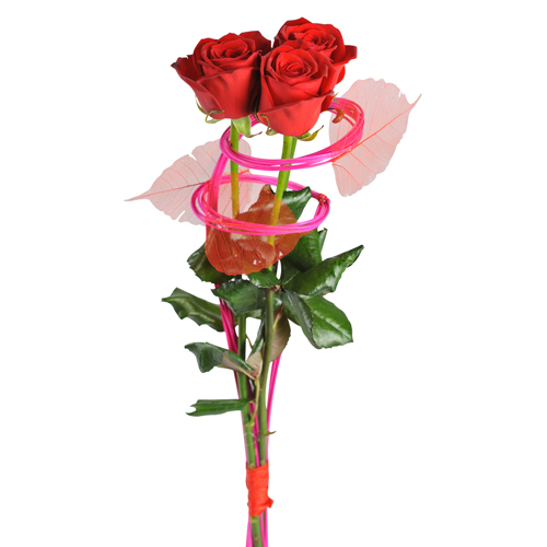 Livraison 3 roses rouges  originales par amour