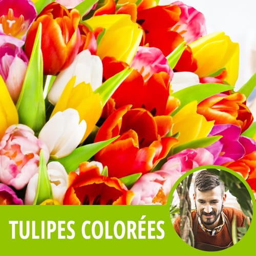 Entrefleuristes | Image du Bouquet de fleurs Surprise de tulipes colorées