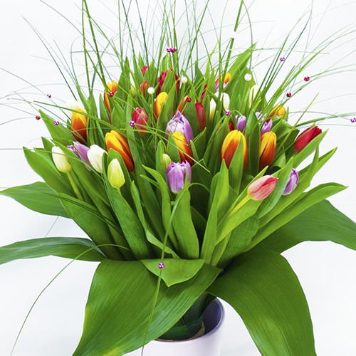 Bouquet de tulipes de couleurs différentes