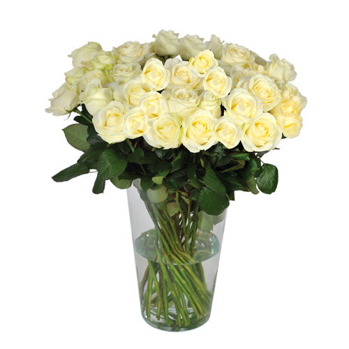 Livraison Bouquet Roses Blanches Roses Blanches Longues Tiges Entrefleuristes