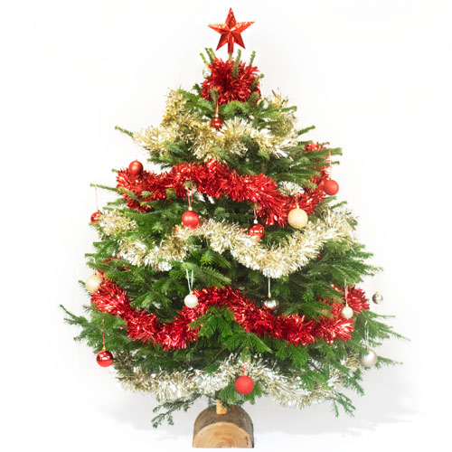 livraison Sapin de Noël Décoré Rouge et Or : Entrefleuristes
