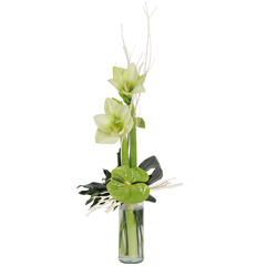 livrer bouquet moderne avec amaryllis blanc Un Hiver à Paris