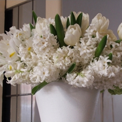 Envoyer des fleurs  odorantes à domicile Ange Mon fleuriste. Bouquet rond blanc composé de jacinthes blanches 