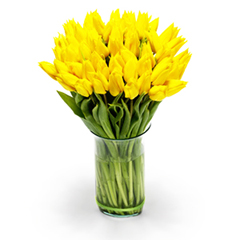livraison bouquet de tulipes jaunes Tulipes en fêtes