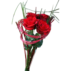 offrir bouquet de roses de qualité Amour de roses