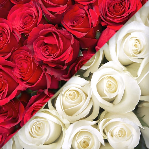Livraison De Bouquets De Roses Rouges Blanches Roses