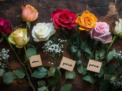 Quelle couleur de rose pour un anniversaire ?
