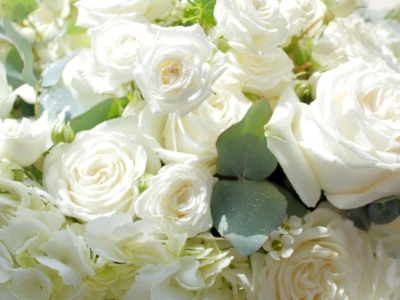 Combien de roses offrir pour un anniversaire ?