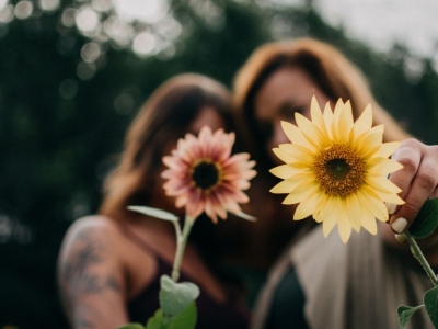 Fleurs de l'amitié : les variétés pour célébrer vos plus belles relations