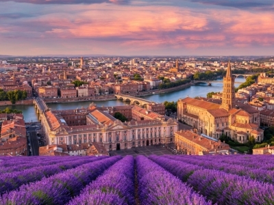Quelle est la fleur de Toulouse : la violette, emblème parfumé de la Ville Rose