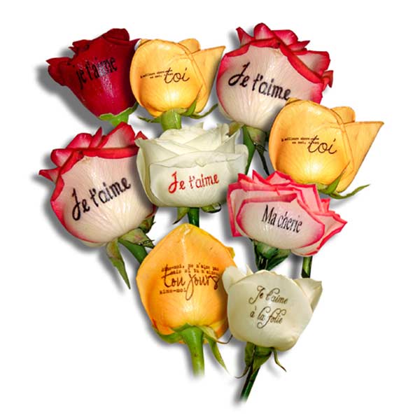 Bouquet de roses imprimées